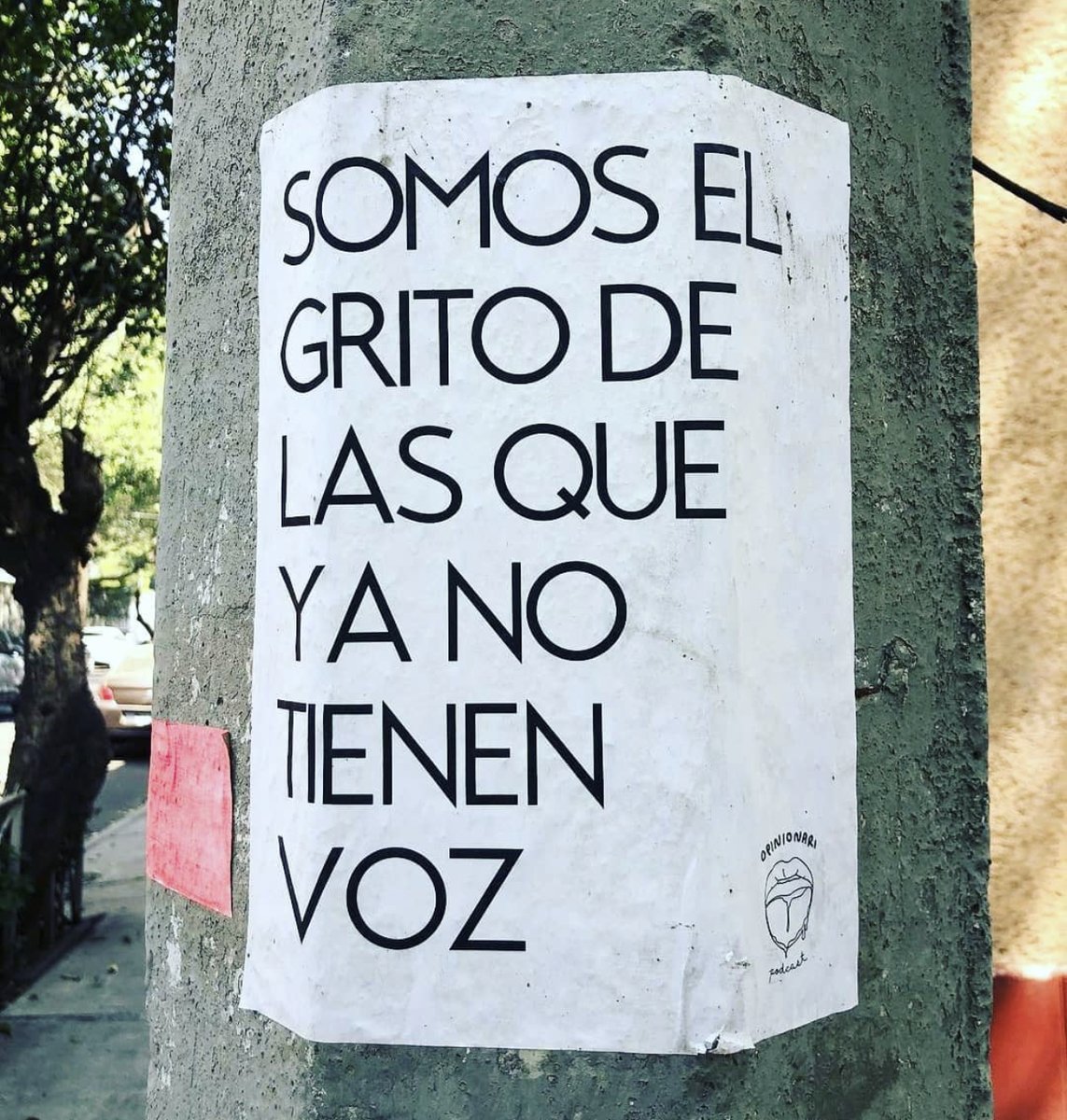 Caoticas tweet media