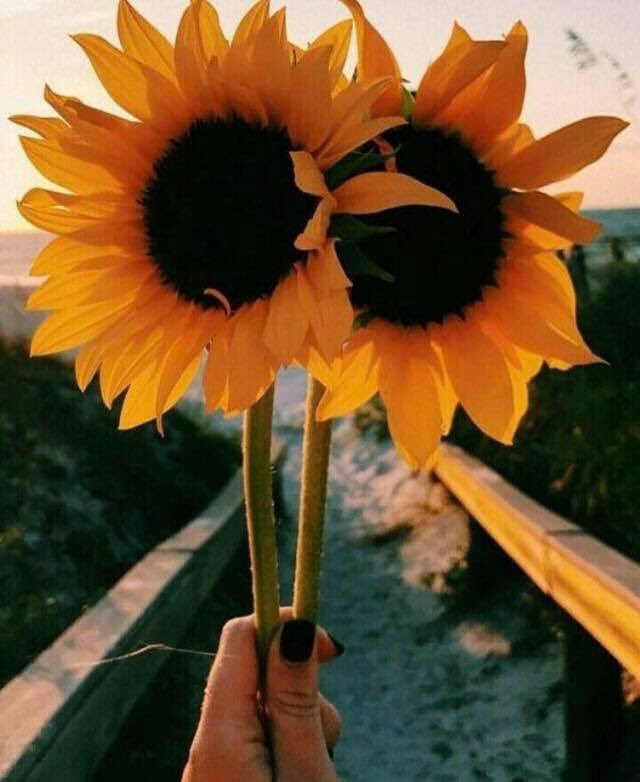 mar_de_sirena's tweet photo. @louzival2011 @somnath456 @imran1t @robtropper @PattiBrookd @LisaTruthJohns @GrazyTGrazynaTT @DOXAgr @Grace19001371 @MrsMeenaKumari @RiverOfDeceit30 @VelvetSkye @RosaTrunk @mmshobha @Yuvraj_kt @taherehch @Edward733 @srone82 @AnneEventsCo @shinunao2 @Gnanase34995362 @kailashcsharma @wjy7k1 @sminaev2015 @fryld @rosmarie1291 @malaradnik @angelicagallegs @Mariezr4M @LiliBodo @corriesmit1960 @DivMeta @DanielaChirico @_get_a_klu_ @Haya13121 @Silau25 @jet_new @Cathhewat123 @Angel_Stockler @Saori__M @Ivatempestade @ivymarina1 @ginestarros @SulemanSaLLO @AlbertoJor18 #HealthyTweet💓#TeamLouziGroup
🙏
Mar de Gratidão🇧🇷#Brasil🇧🇷#Brazil🇧🇷 
SaudAções de Saúde e Paz🌎🌍🌏#Worlds

#UnionIsHealth💓#Union!
#CleanEnergy🕯️#HighVibration
#Breathe🍃PaZ
 
🎵528 Hz ✦ Positive Energy Frequency ✦ Happiness Vibes [ FEEL GOOD ] Emotional &amp; Physical Healing🎵 https://t.co/as6siRM9lg