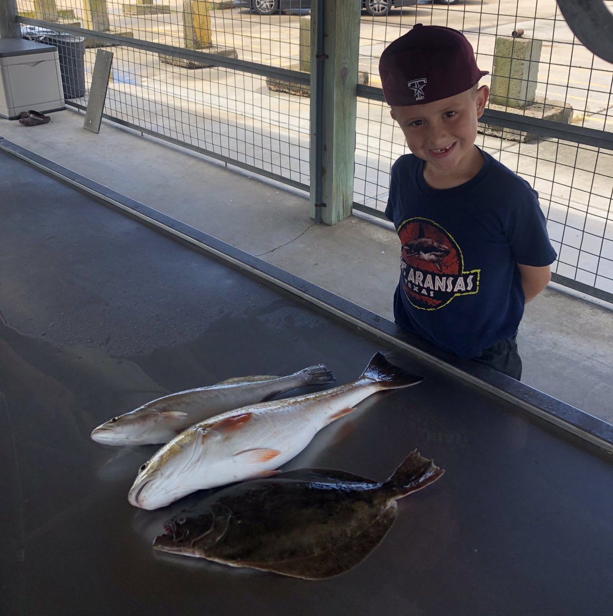 Coach_Woodard's tweet image. Caught the Texas Slam this morning in Matagorda Bay. Red Fish, Flounder, and Speckled Trout. About to cook them up and have a heck of a dinner! 
#HG3 #FishingBuddy #BoatToTable