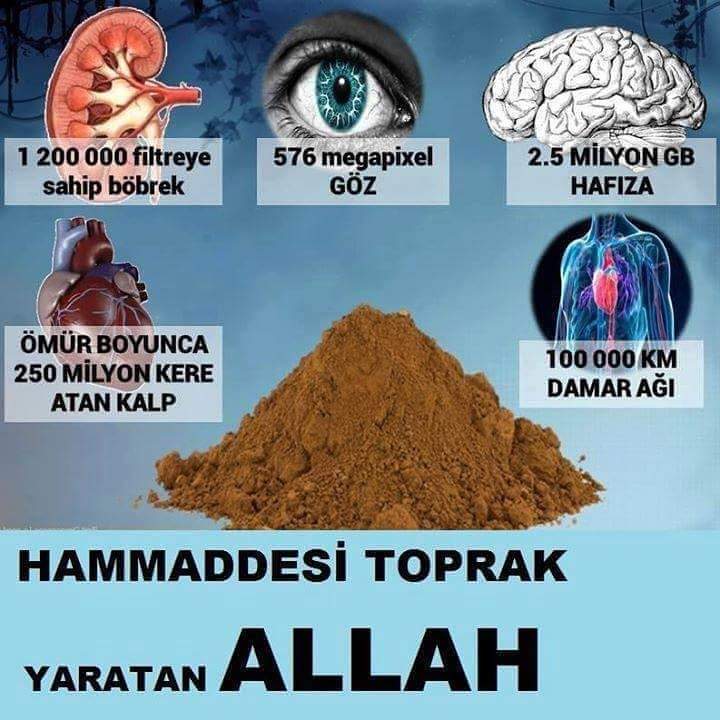 5 Haziran Dünya Çevre Günü'nde bir kez daha doğayı, geleceği ve kendinizi düşünün… Dünya Çevre Günü'nüz kutlu olsun. Doğal kaynakların gittikçe azaldığı, nüfusun arttığı, çevre kirliliğinin arttığı bugünde, doğayı ve çevreyi koruma konusunda duyarlı olalım.