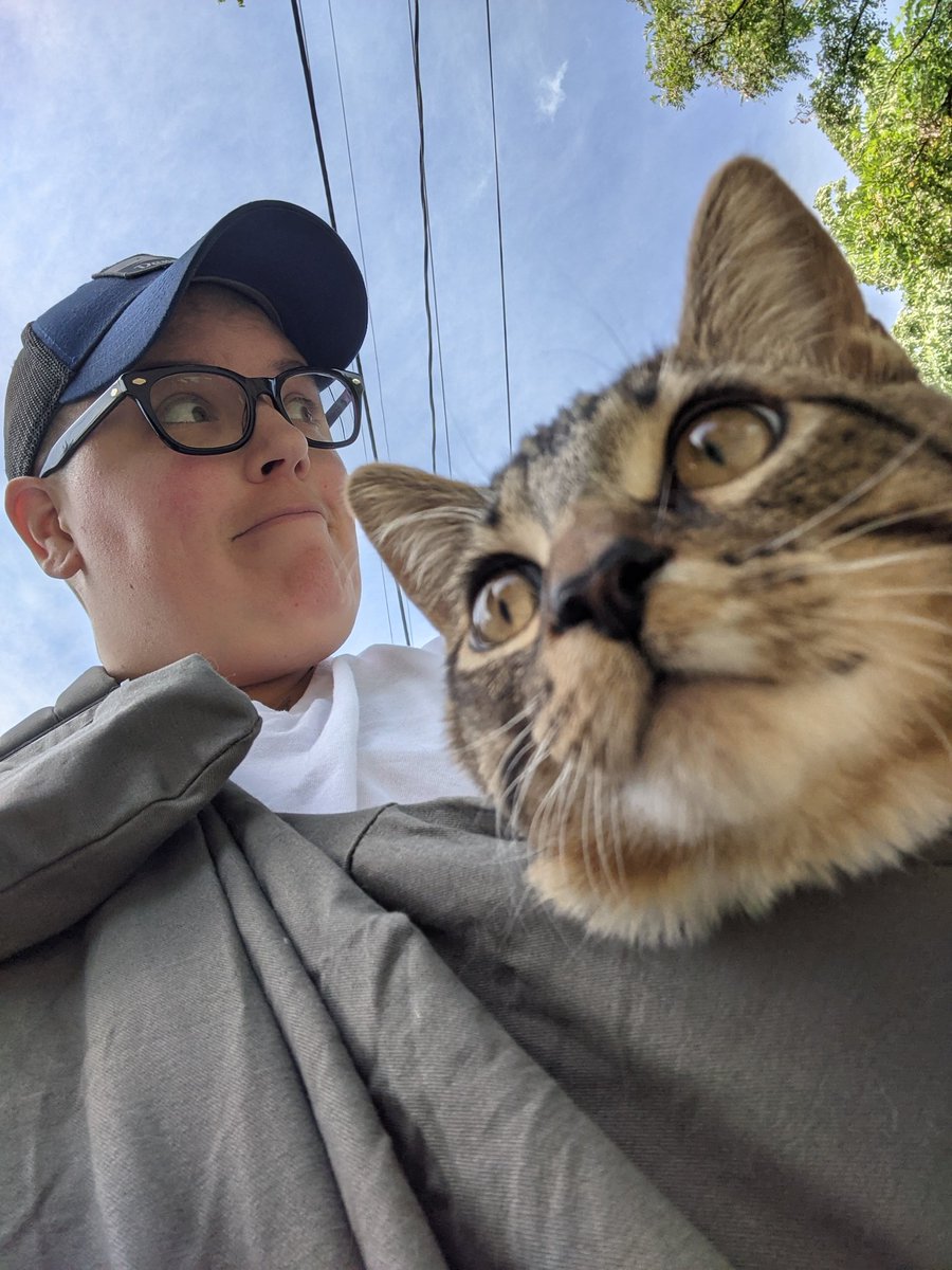 Took the kiddo for a walk in her new carrier. So much to see!