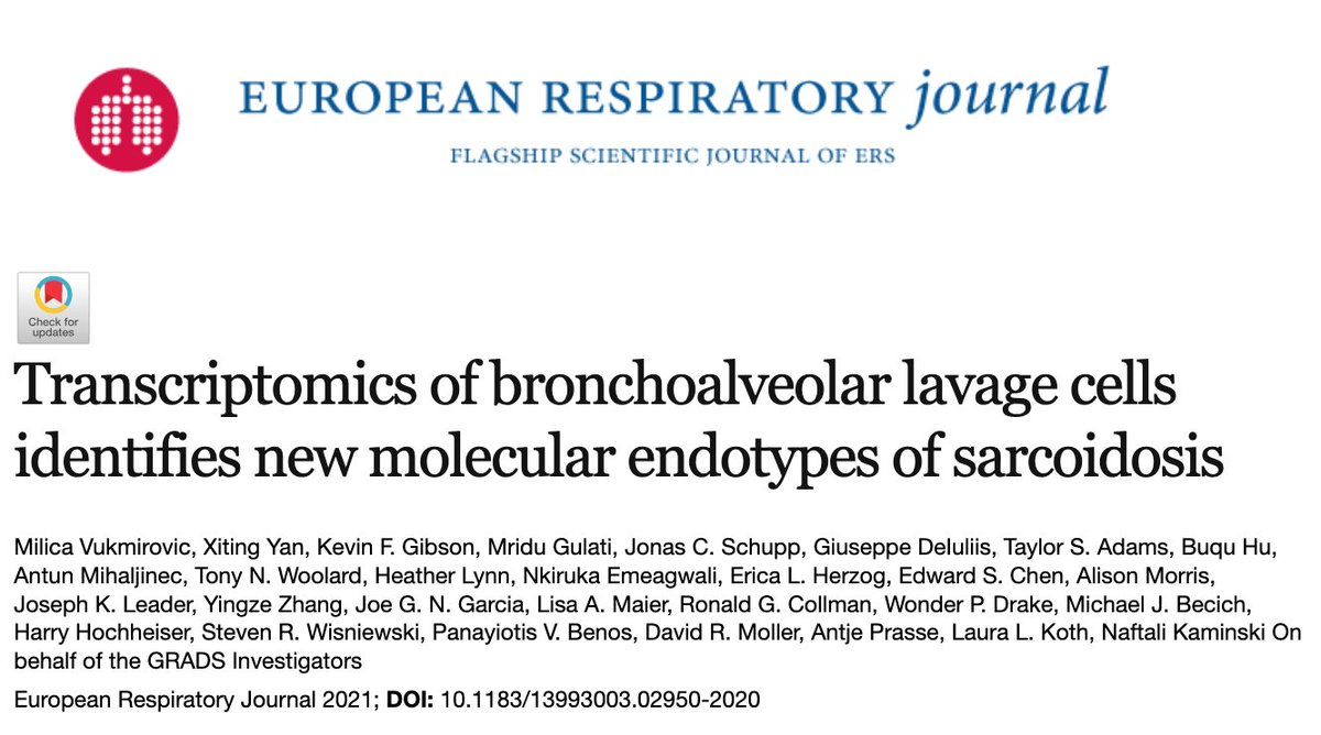 Naftali Kaminski tweet media