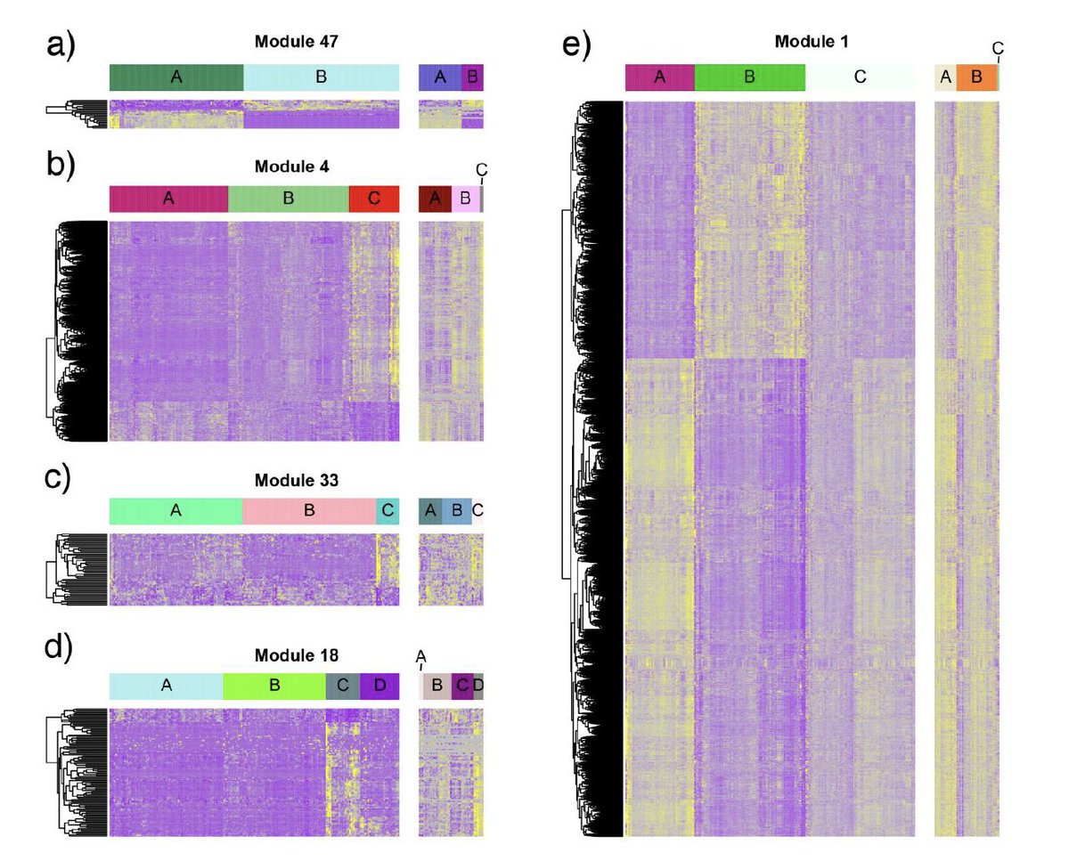 Naftali Kaminski tweet media