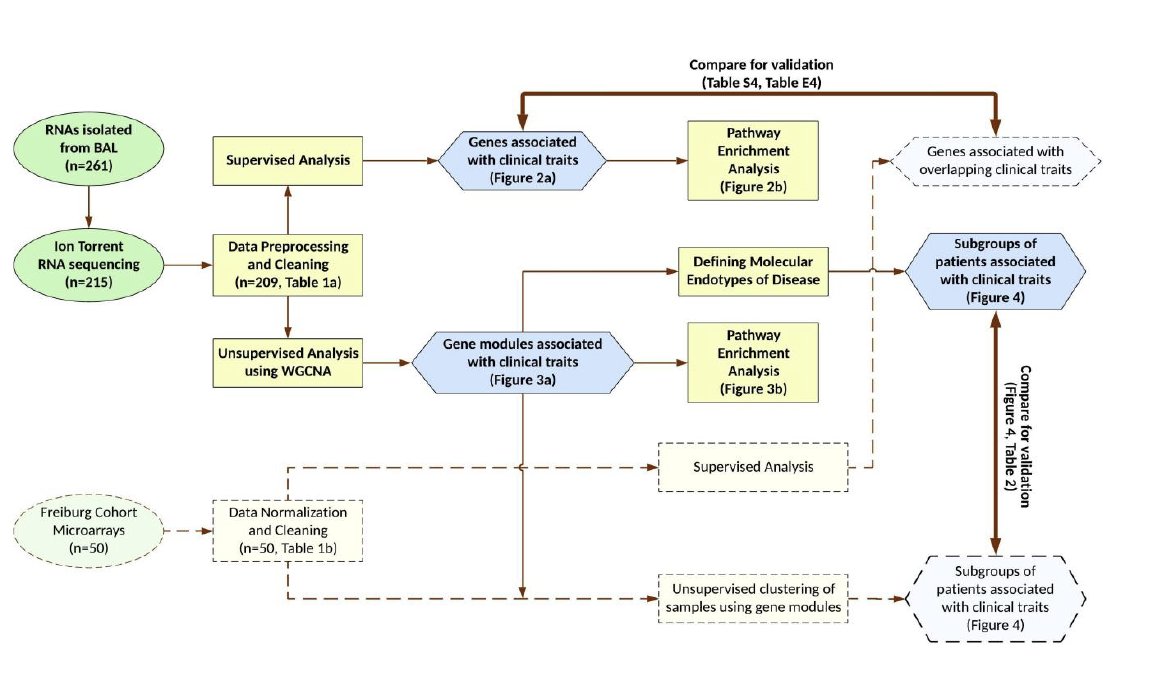 Naftali Kaminski tweet media