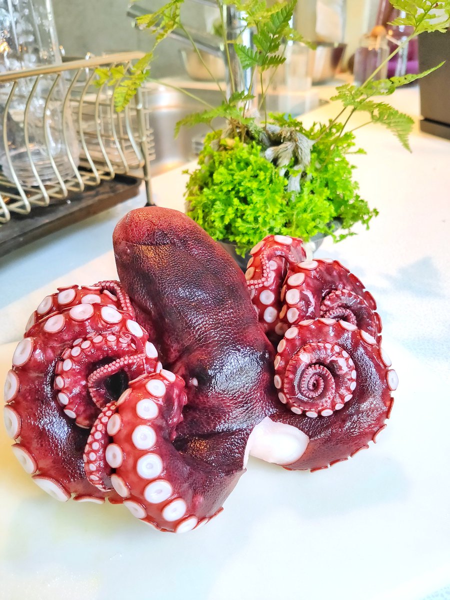 イラストを提供している #金楠水産 からシーズンの #明石たこ が届きました❗🐙

自分のイラストながら、このパッケージは毎回嬉しく元気になります❗
美しい姿は勿論、職人さん達の匠の業が為せる絶妙な茹で加減の食感は是非一度味わって欲しいです

金楠水産株式会社
https://t.co/AfLYhHU8ao 