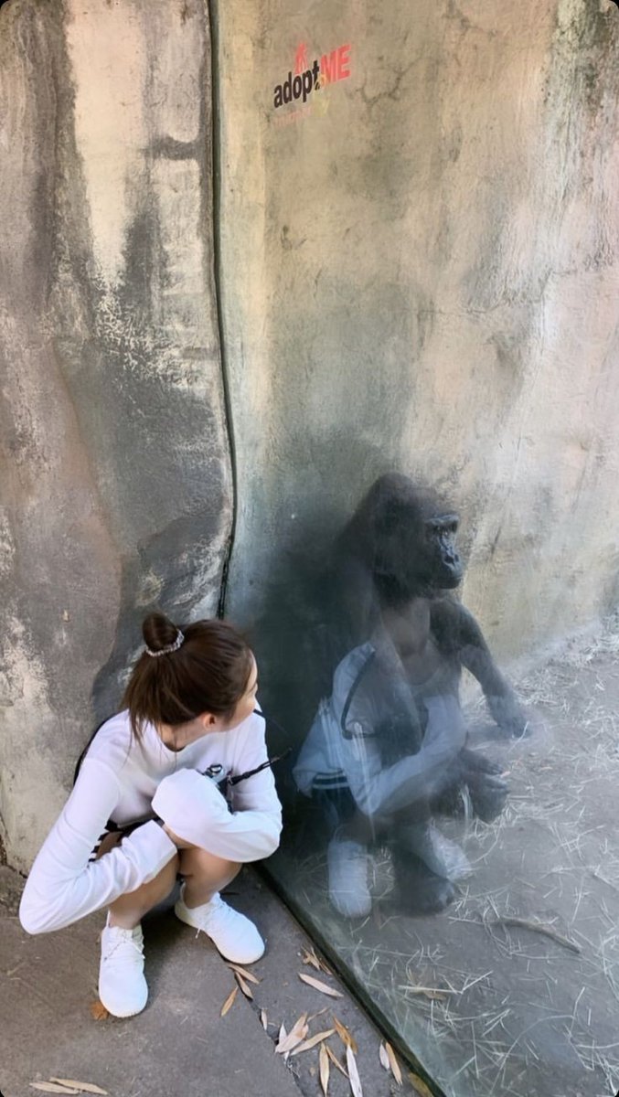 Jensh✨ tweet media