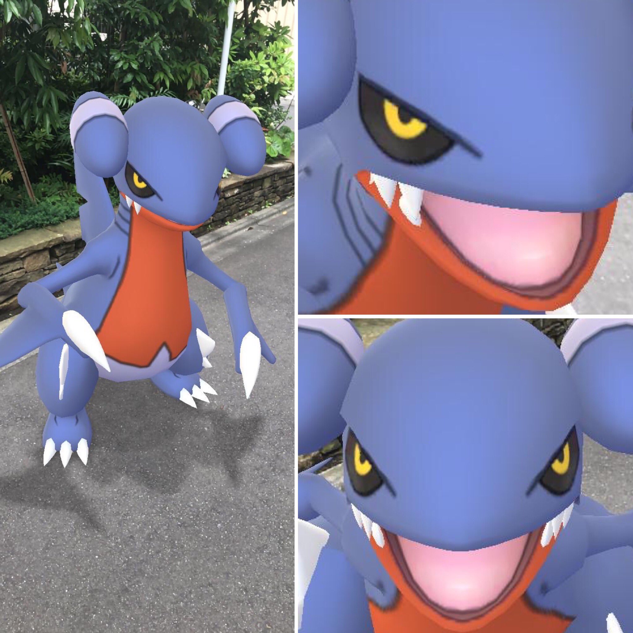 ありがひとし Arigahitoshi フカマルはうちの奥さんとフカマル交換してキラポケモン になってガバイトに進化させてたの忘れてた にしてもやっぱ飴が足りなくてガブリアスになれてないのですが 明日はフカマル沢山捕獲して飴を集めたいです