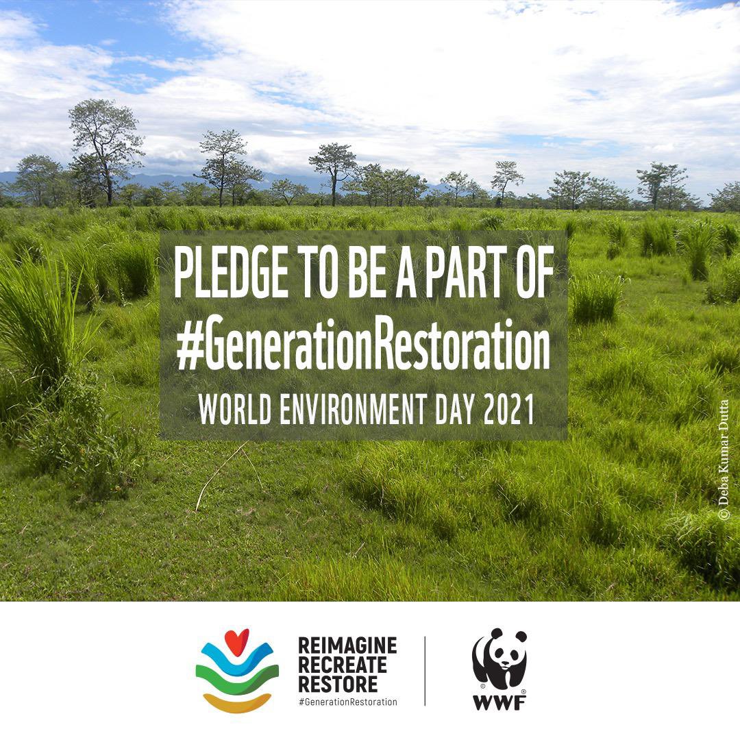 WWFINDIA's tweet photo. Healthy ecosystems are the foundation of human well-being. Each one of us has a role to play in #EcosystemRestoration. Let us Reimagine, Recreate, and Restore the ecosystems.
This #WorldEnvironmentDay pledge at https://t.co/WuoSTehEWl to be a part of #GenerationRestoration. https://t.co/wJeYDq4AGE