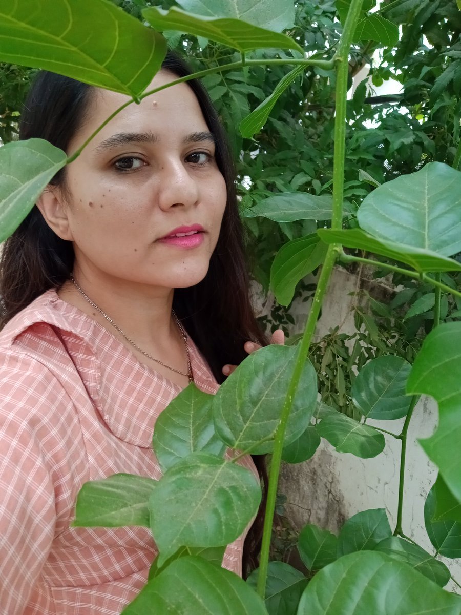 munshi_rashmi's tweet photo. Green is the prime color of the world, the future will be either green or nothing.
Plant more trees, this will be true celebration of world environment day.
#WorldEnvironmentDay
#WorldEnvironmentDay2021
#rashmimunshi
#rashmimunshiontwitter
#rashmitweet
#greenindia #plattrees https://t.co/AL5dRnv6qV