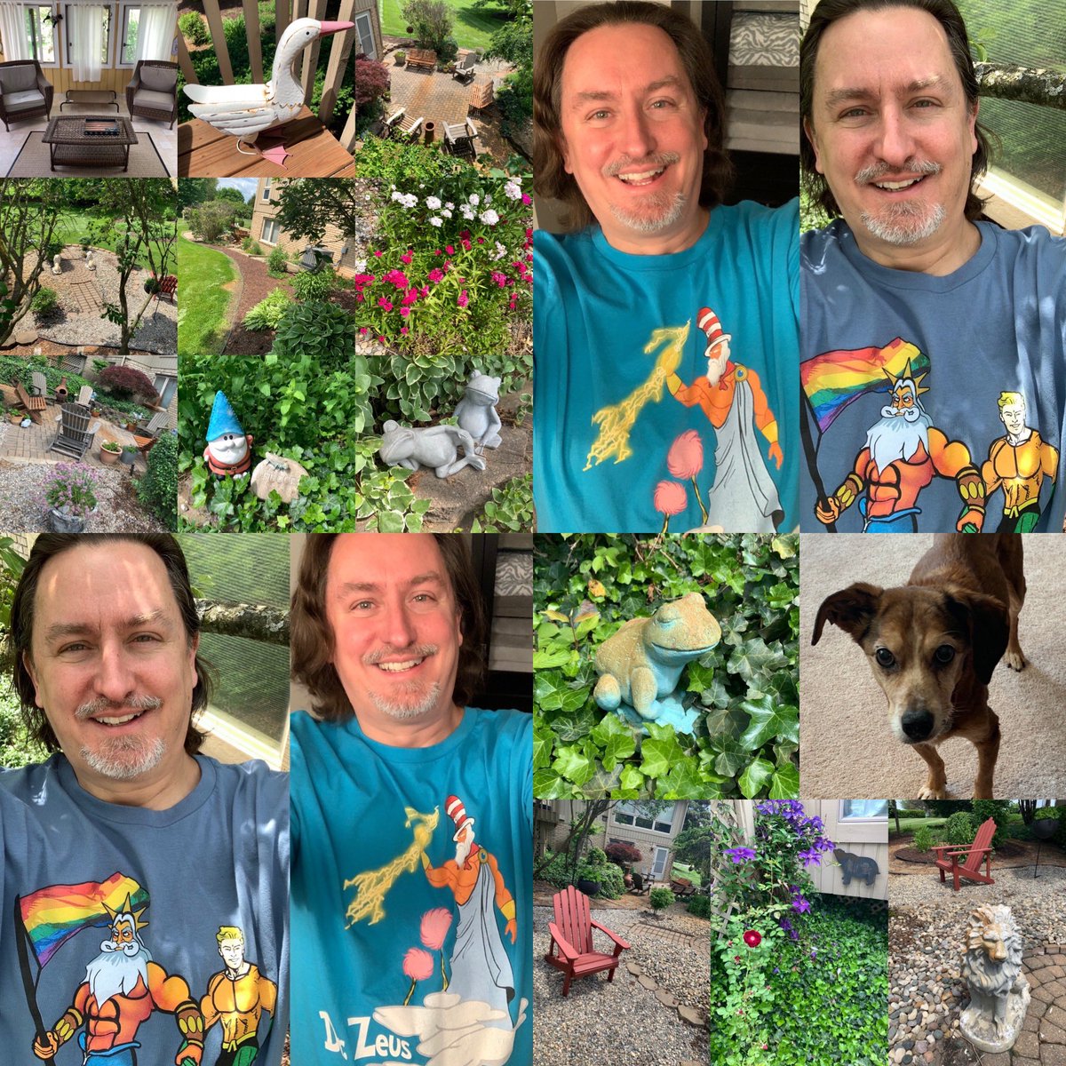 Random shots from a day. A tale of two #tshirts: #KingTriton ❤️s #Aquaman plus #DrZeus (#PRIDE). New #adirondackchairs in use. Decaying #Target store #garden statuary. Glaring Lucy #dog. A handful of #blooming #flowers. #Cruella / #EmmaStone meets #PrincessLeia / #CarrieFisher.