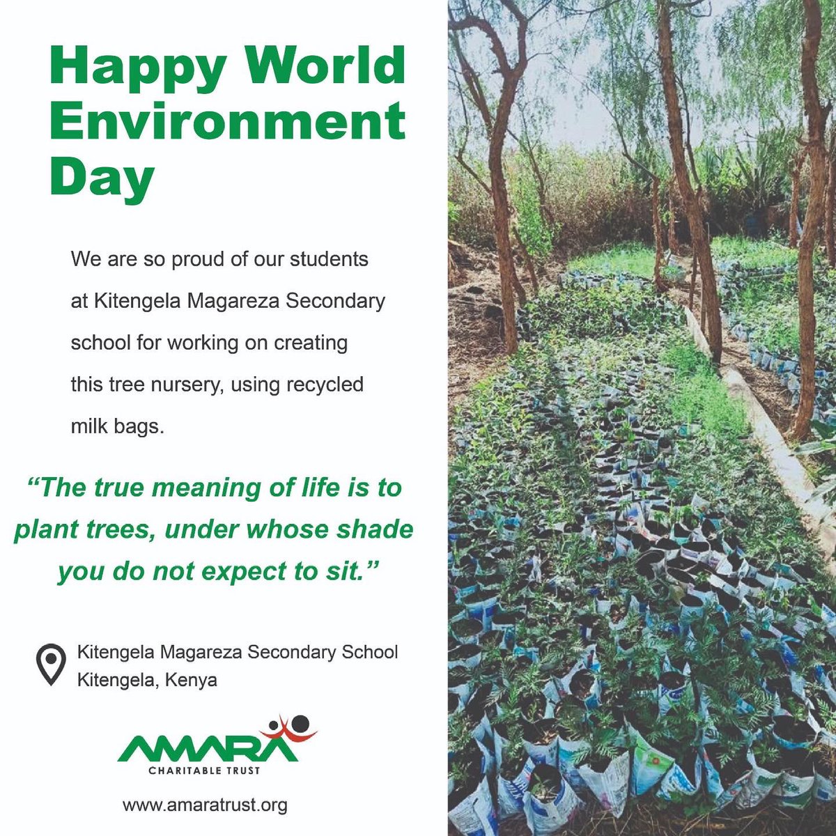 Amara Charitable tweet media