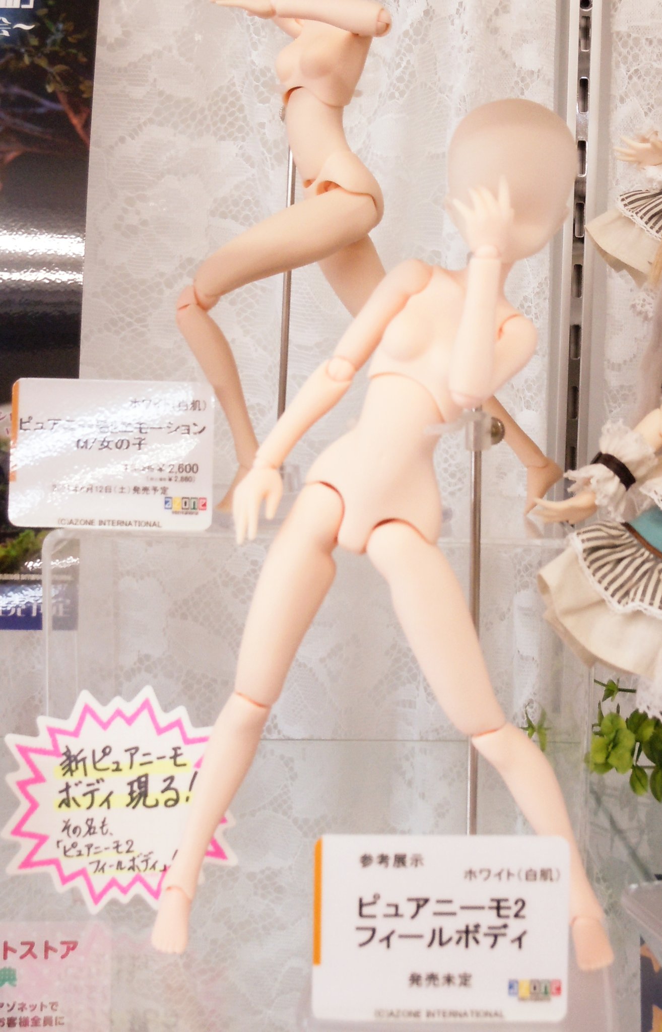 azone - ピュアニーモ　フィール　S 2体 ピュアニーモ2フィール S/女の子（シルキースキンver