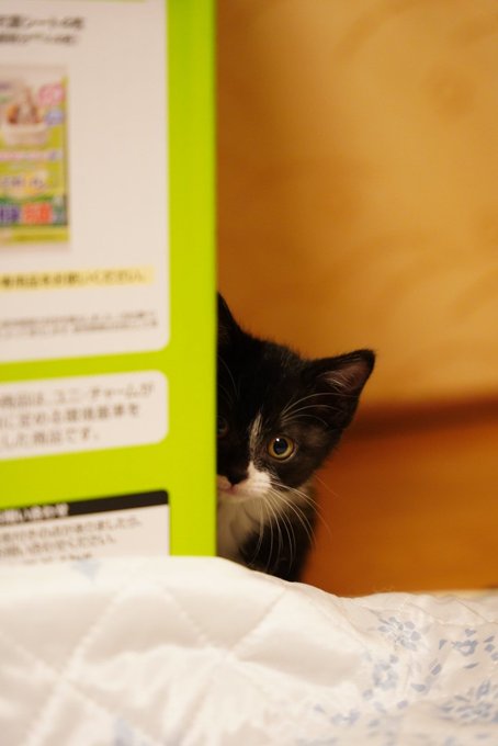 D M ジョゼフ 深淵をのぞく時 深淵もまたこちらをのぞいているのだ D M ジョゼフ 深淵をのぞく時 深淵もまたこちらをのぞいているのだ