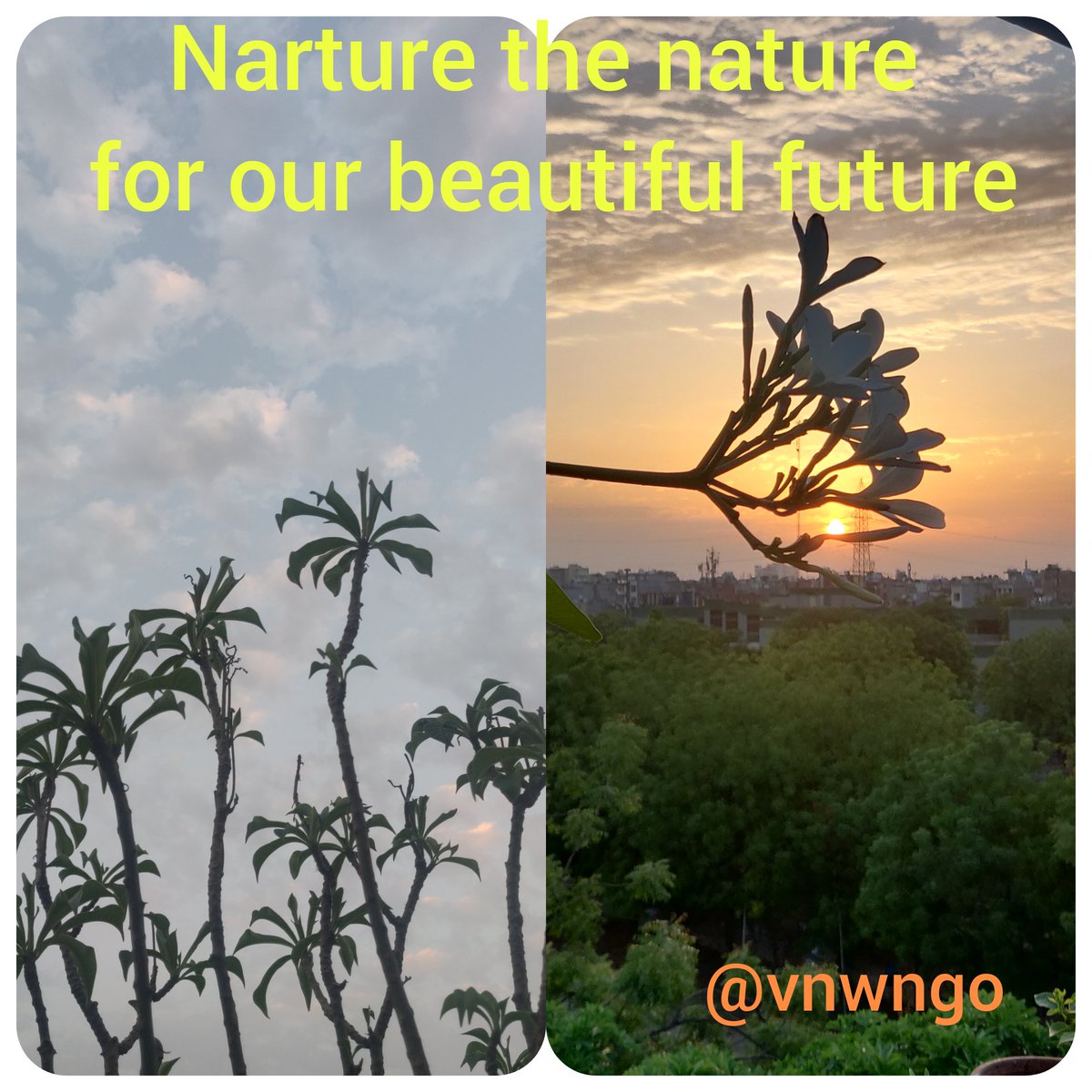 VNWNGO's tweet photo. Let's pledge on this #WorldEnvironmentDay2021 we should keep our environment clean. Nurture the #nature and save our #planet

#vnwngo #vnwfoundations #Moefcc #PMOIndia @PrakashJavdekar @SuPriyoBabul https://t.co/yPZ9V6tREO