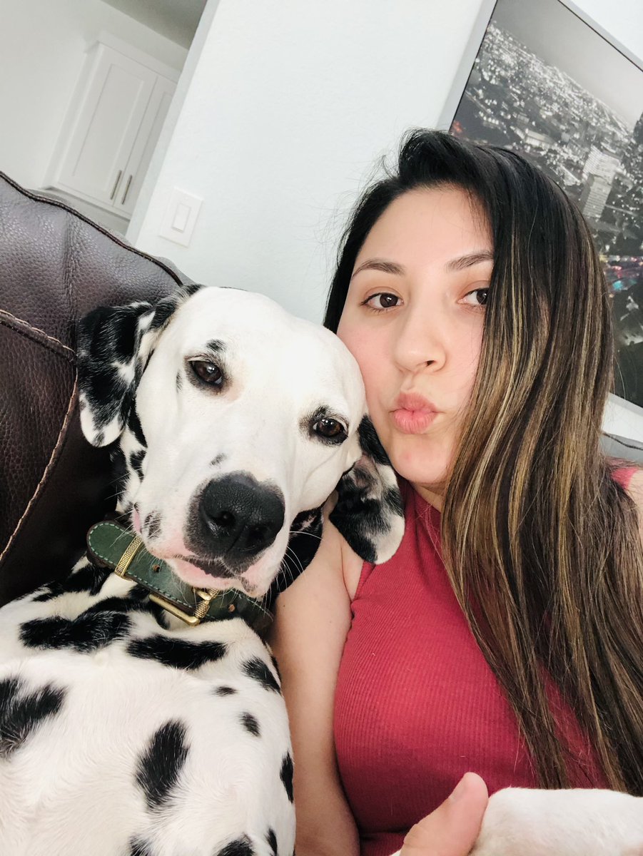marrleeene's tweet photo. 🐾 my big baby https://t.co/OW7DBxR3Mp