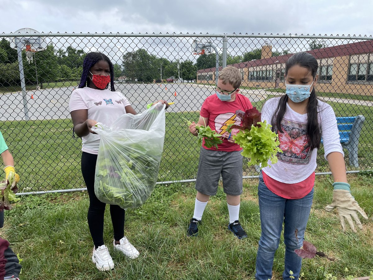 Ms. Burke's Class 🐬 tweet media