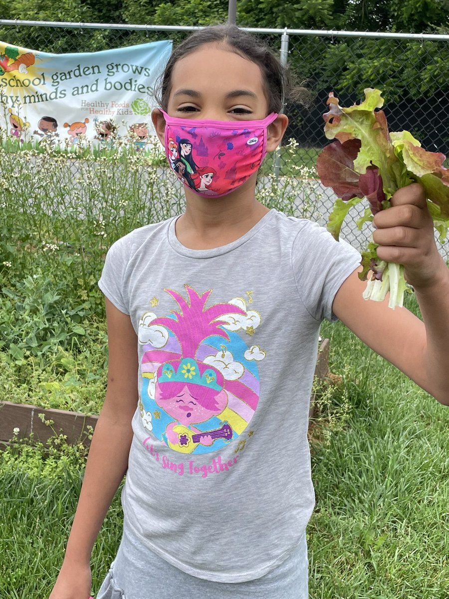 Ms. Burke's Class 🐬 tweet media