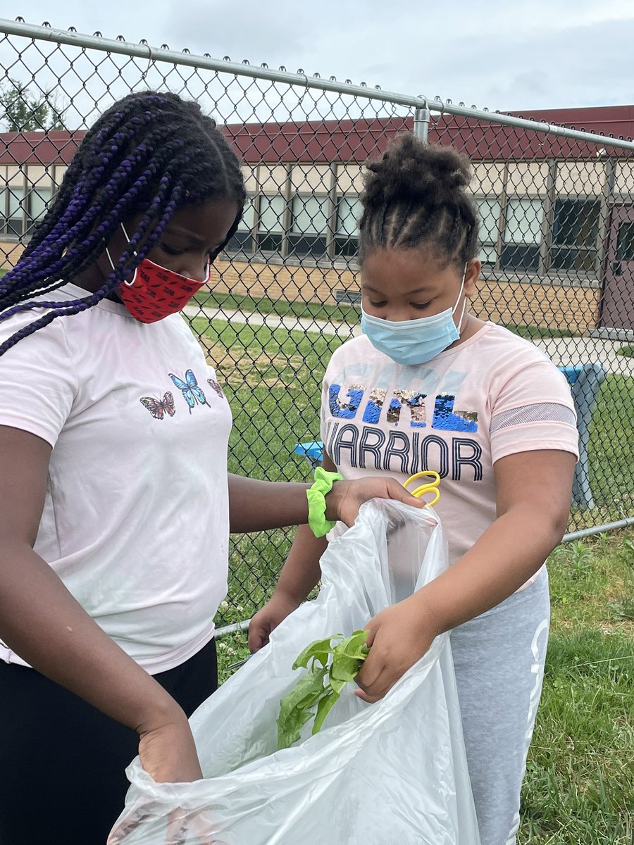 Ms. Burke's Class 🐬 tweet media