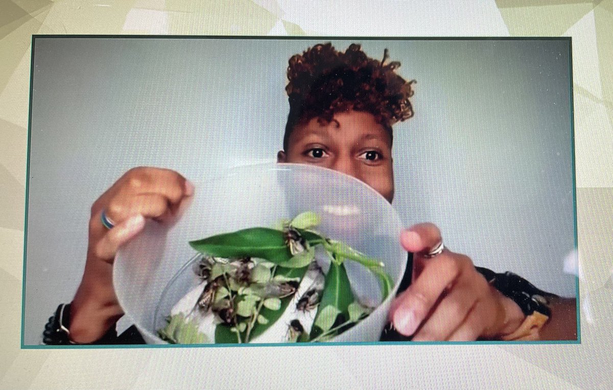 Ms. Burke's Class 🐬 tweet media