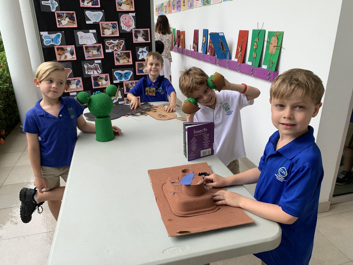 NadineAppleton8's tweet photo. What’s happening in kindergarten at CIS? Only an amazing insect museum and exhibition! 😁 https://t.co/8710YPqeLh
