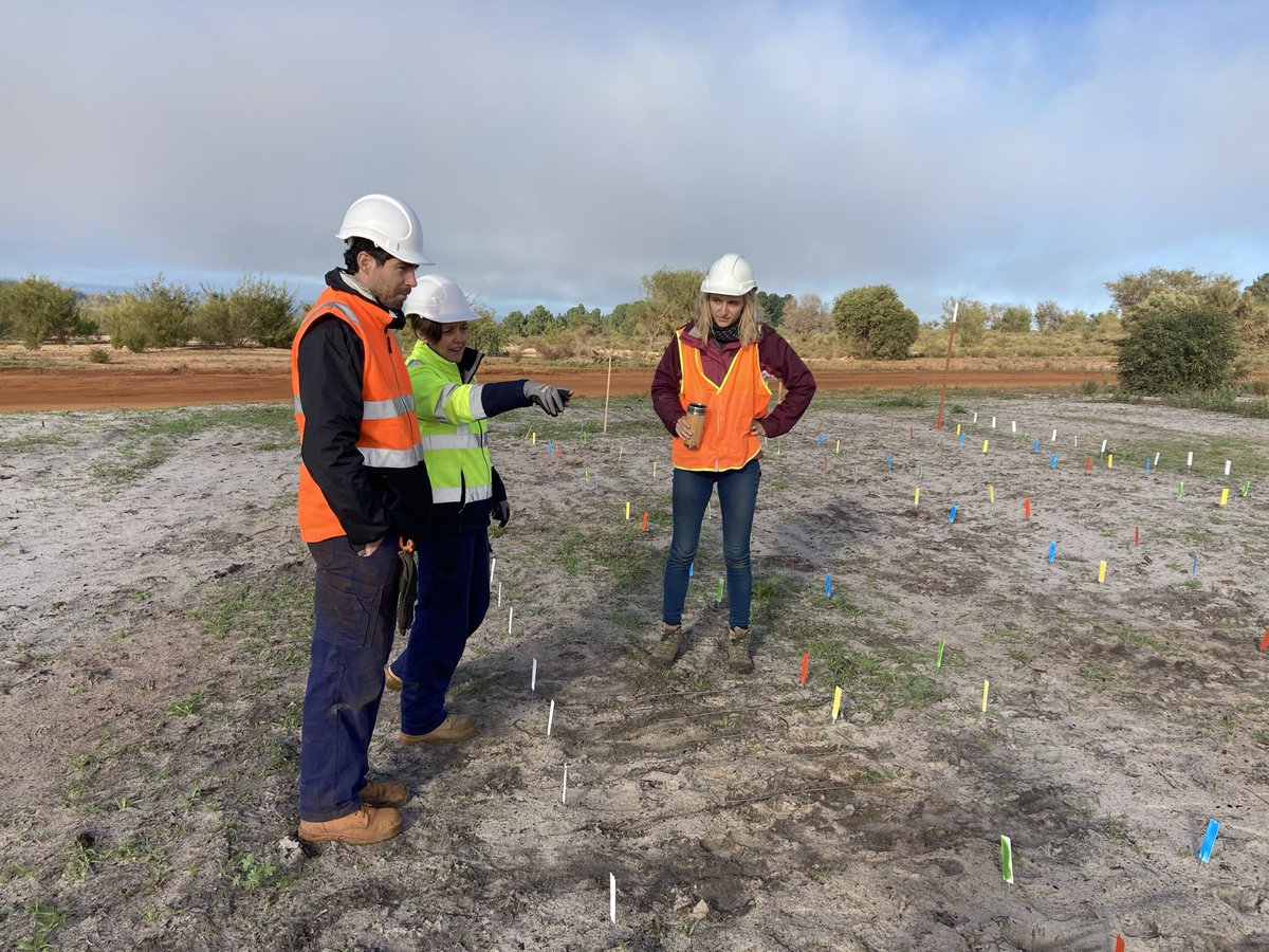Happy #WorldEnvironmentDay here are 3 great young #restoration #environmentalists that are tackling the barriers to seed-based restoration in the field this year. Exciting results to come 😀