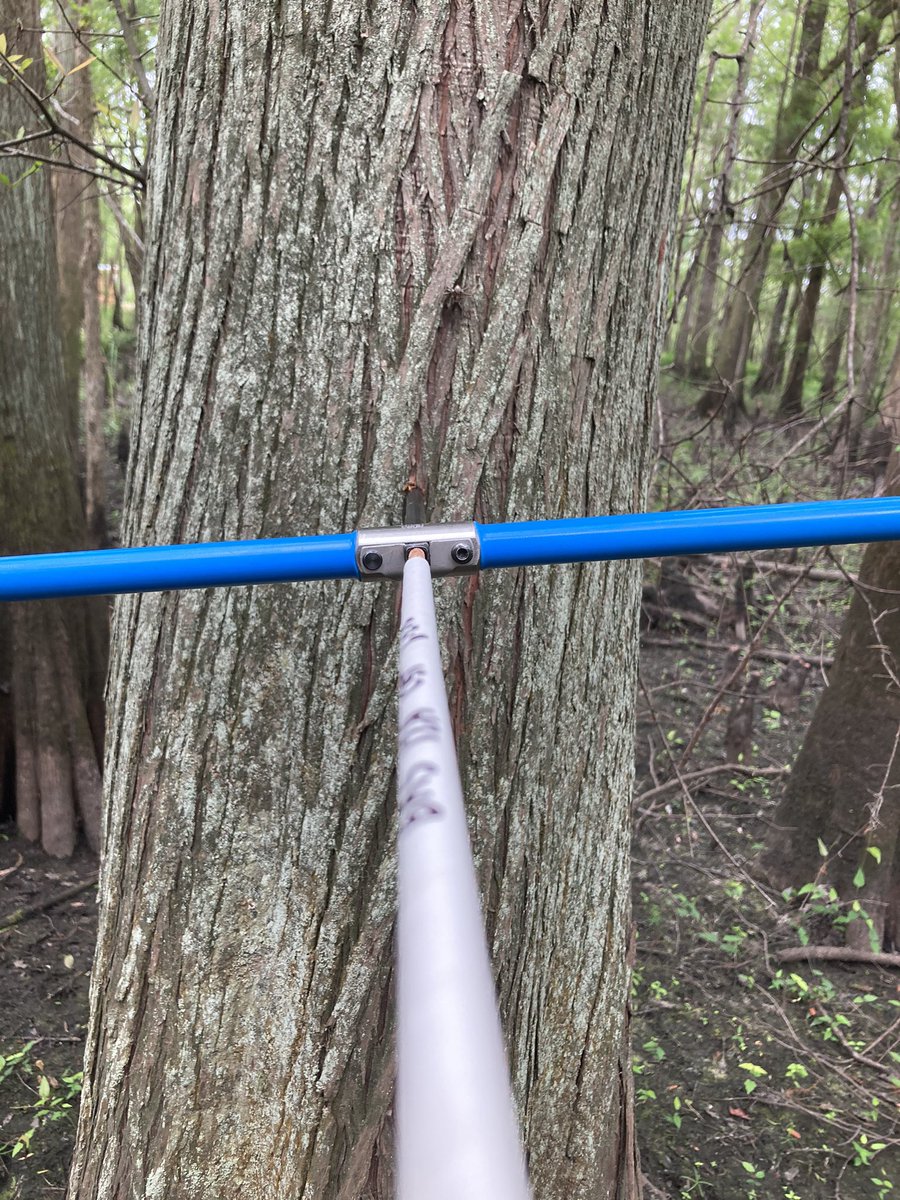 Clay Tucker tweet media