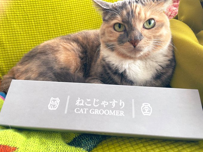 ねこじゃすりのTwitterイラスト検索結果。