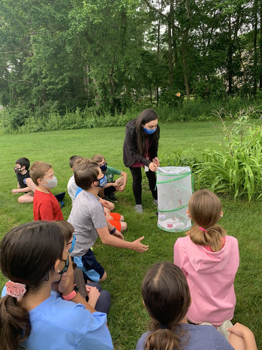 Today was Butterfly Release Day ! We had so much fun studying the life cycle of our caterpillars then saying good bye to our butterfly friends! <a href="/jfkladybugs/">JFK School Franklin</a>