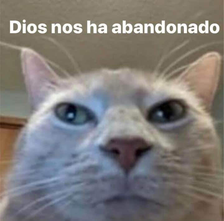LuisaPreciado29's tweet photo. @naranja_cali https://t.co/RhE3C6HAeb
