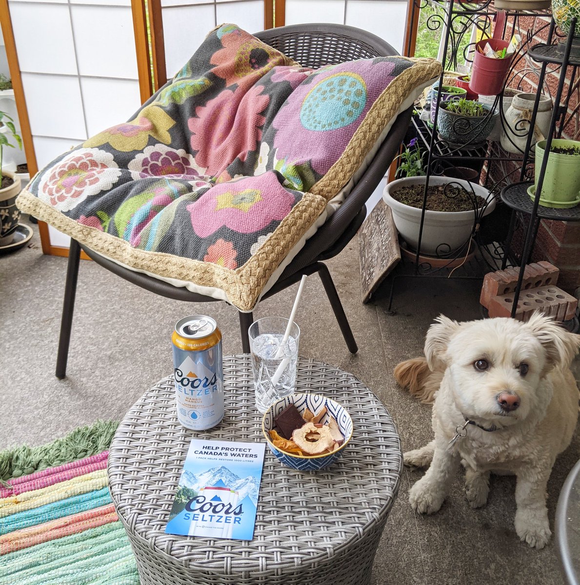 Social_Moi's tweet photo. What's better than @coorslightcanada Mango Seltzer on a hot day? A FREE Mango Coors Seltzer!
Bonus @molsoncoors donates to fund @changethecourse to help restore Canada's waters.
Thank you @bevtrihome!
Want free drinks too?
⬇️https://t.co/ay0p0a4dZ3
#bevtri #coors #ChangeTheCourse https://t.co/lrqe8FMJnf