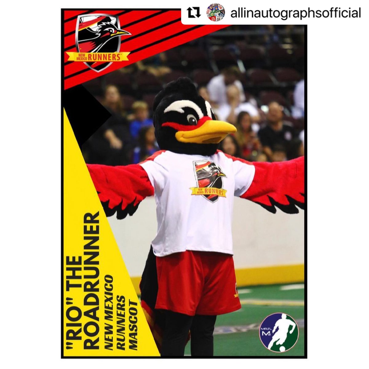 nmrunners's tweet photo. Come on down to @allinautographs on Saturday for their grand opening! Your favorite mascot @RioRoadrunner, will make an appearance at 12:30 PM, signing autographs & taking photos! πΈ #rioroadrunner #roadrunner #mascot #grandopening #smallbusiness #newmexicorunners #newmexico #abq https://t.co/2sbIbZ0t3h