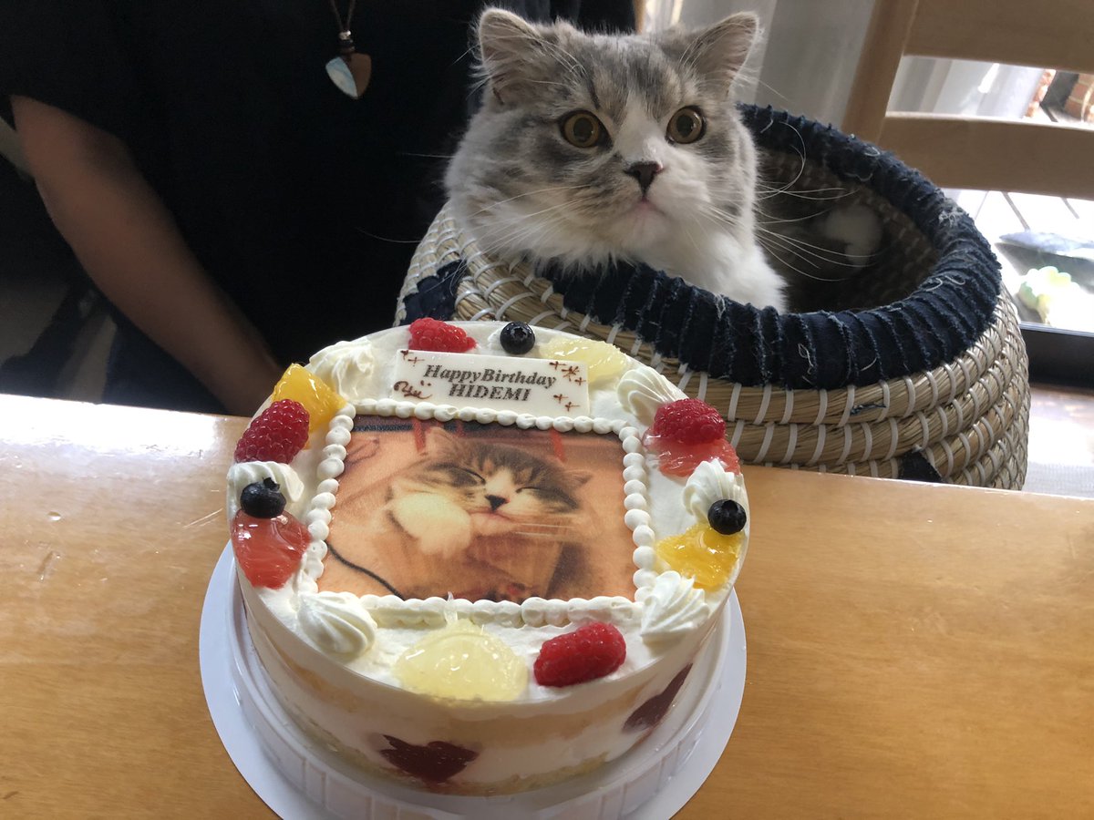 すこ ねこ りつ Auf Twitter ママさんお誕生日おめでとう 猫好きさんと繋がりたい 猫のいる暮らし スコティッシュフォールド りつ 猫 子猫 誕生日 写真ケーキ 誕生日ケーキ すこ ねこ りつ Auf Twitter ママさんお誕生日おめでとう 猫好きさんと繋がりたい 猫のいる暮らし スコティッシュフォールド りつ 猫 子猫 誕生日 写真ケーキ 誕生日ケーキ