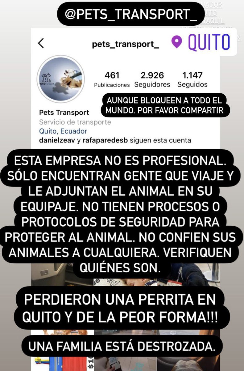 tumadrepunto's tweet photo. #RT por favor verifiquen con qué clase de empresa trabajan y con quién envían sus mascotas en viajes al extranjero. https://t.co/Q61cprCSv6