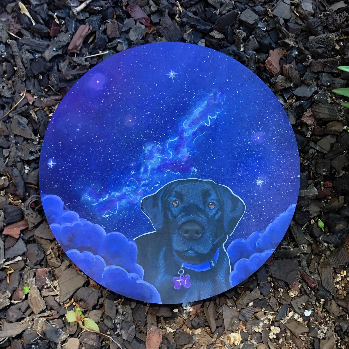 ✨Which majestic bb calls to you? ✨

If you got a pet portrait, what would you get?