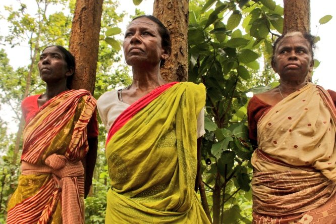 HansrajMeena's tweet photo. Tribals are the real hero for protecting the environment. I dedicate #WorldEnvironmentDay to the great tribal warriors. https://t.co/OWkxdh6xEF