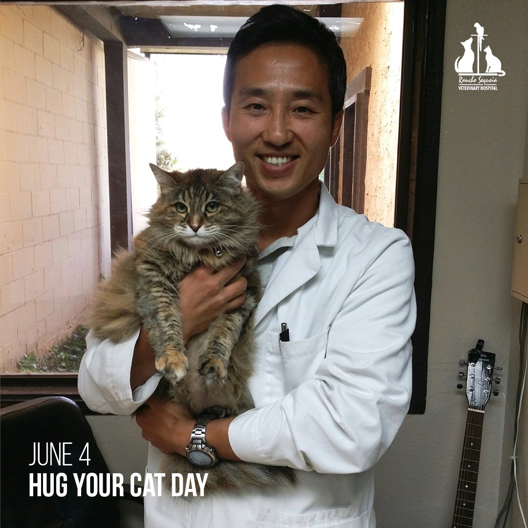 There’s a lot of cat hugging going on all the time, and it was International Hug Your Cat day just a few days ago. However, today is extra special because it's National Hug Your Cat Day! It never hurts to give your cat more love right? So grab your BFF and celebrate with us! https://t.co/EADctinMsy