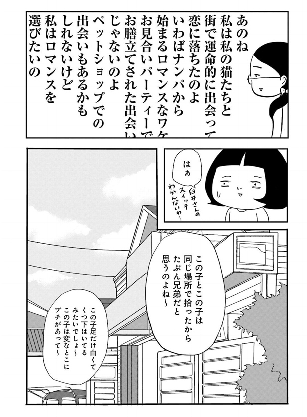 猫が増えていく人(2/3) 