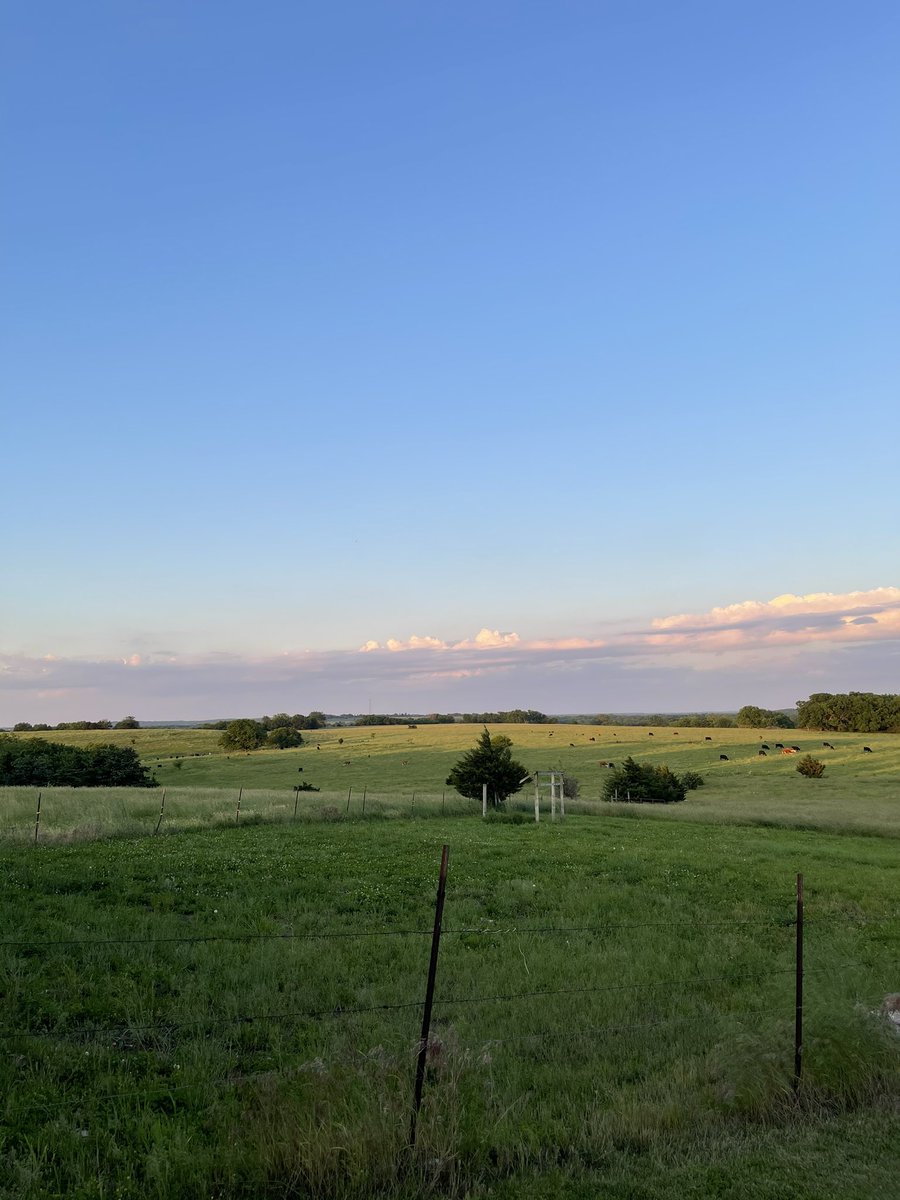 MaxxxMcCain's tweet photo. No college degree...just a good work ethic #Kansas https://t.co/KzQaWqdxkD