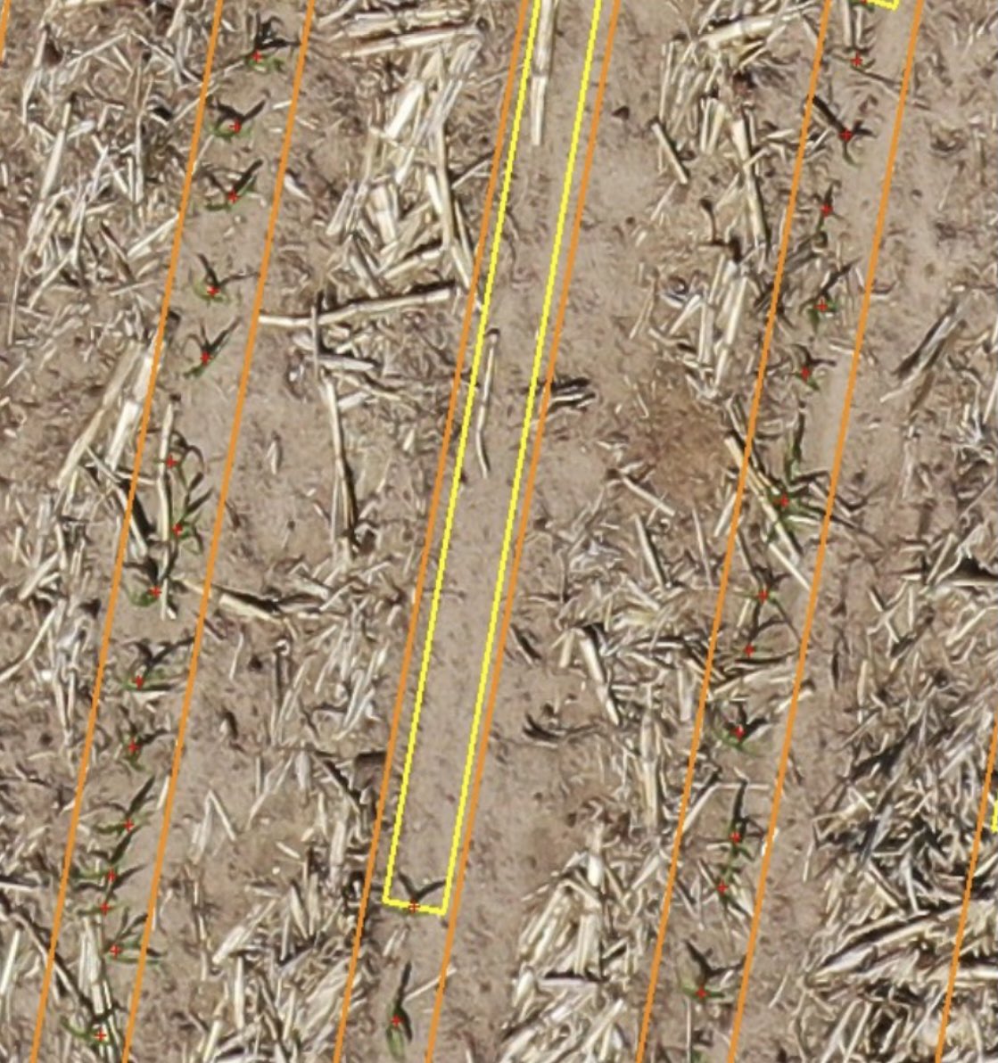 Dan Ilten tweet media