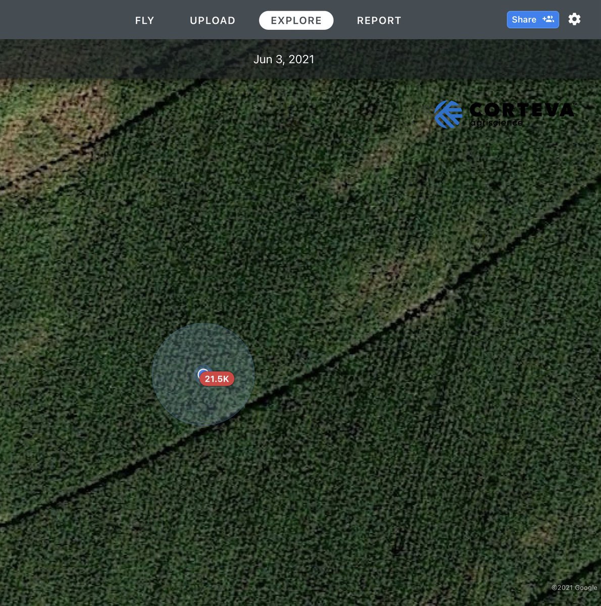 Dan Ilten tweet media