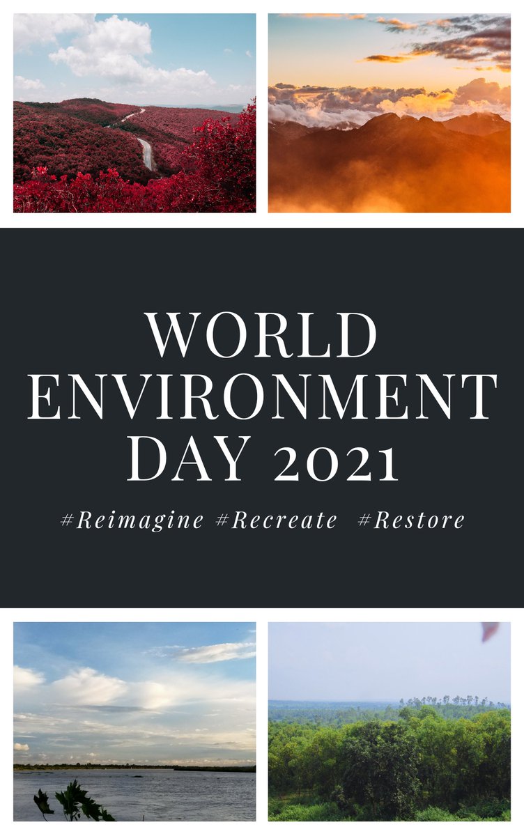tripmania4's tweet photo. The most beautiful scenery is Environment. So protect and conserve it to see it grow more and more. Happy Environment day..
#WorldEnvironmentDay #WorldEnvironmentDay2021 #SaveNature #savenatureforfuture https://t.co/SXvXZFVsYT
