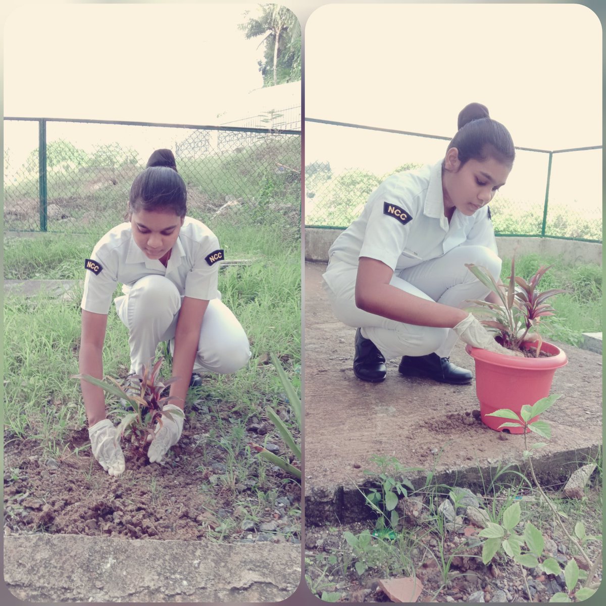 BHARGAVIADAPA1's tweet photo. WORLD ENVIRONMENT DAY 🌱
LET US MAKE THE WORLD 🌎 CLEAN &amp; GREEN 
1(AN) NAVAL UNIT NCC , PORT BLAIR ⚓
@HQ_DG_NCC
@SeaIslanders 
@indiannavy https://t.co/bXA2iqWbvq
