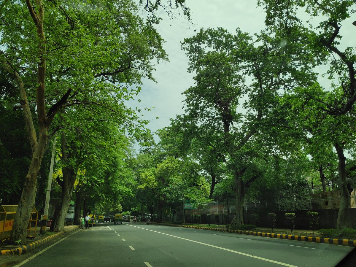 'There is something infinitely healing in the repeated refrains of nature...
the assurance that dawn comes after night, and spring after winter.'

-Rachel Carson

#WorldEnvironmentDay