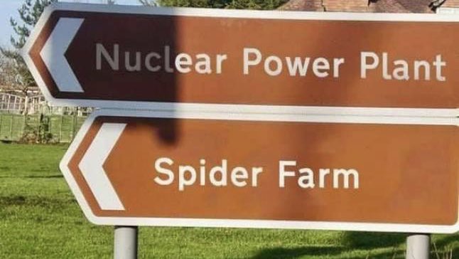 narrator: and what happened next surprised no one