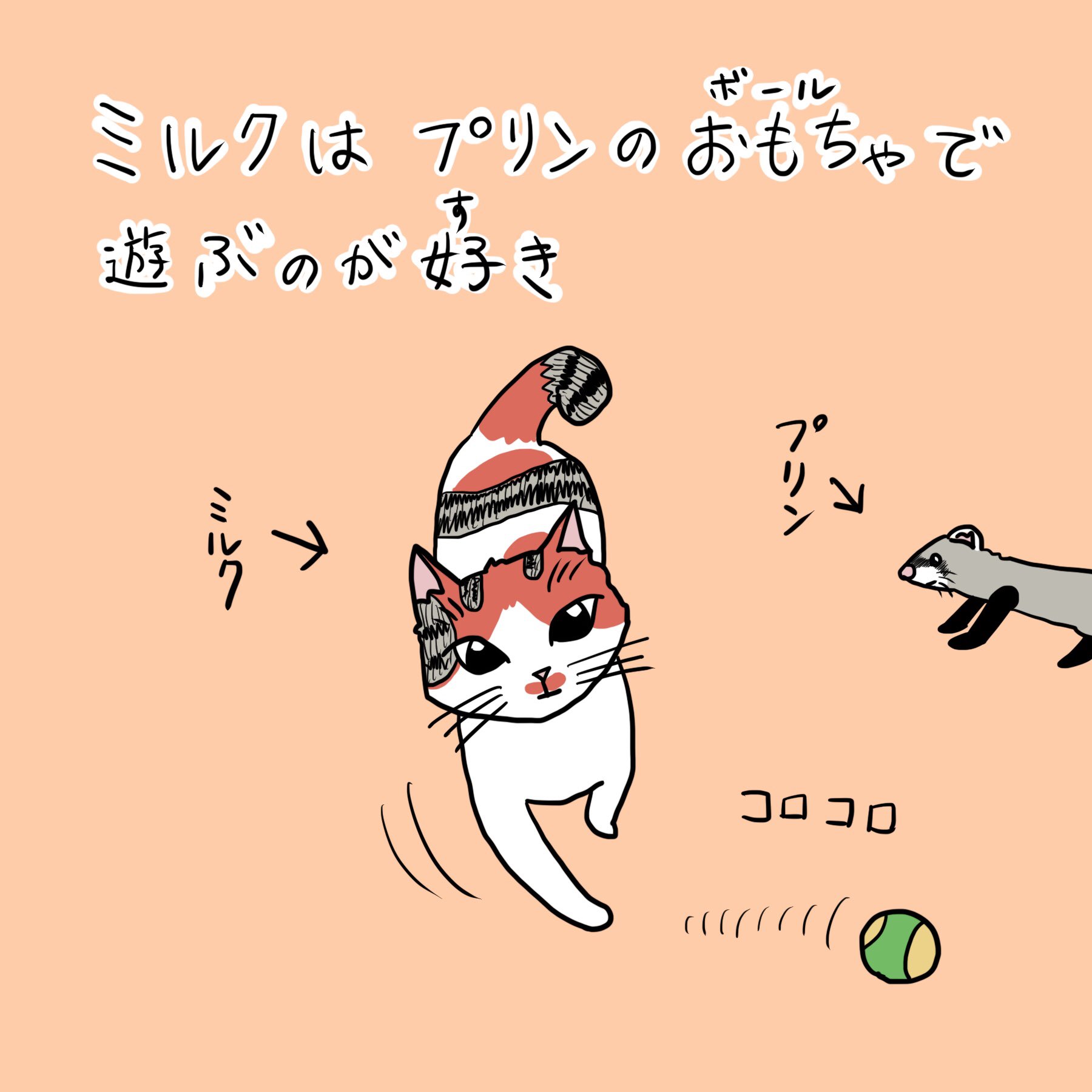 燁羅 あきら Instagramに続きを載せてます 興味のある人は見てみてね T Co Ujkdxamj15 漫画 まんが マンガ イラスト インスタ漫画 お絵かき あるある おもしろい くすっと笑える へたうま 動物マンガ 猫 ネコ ねこ フェレット