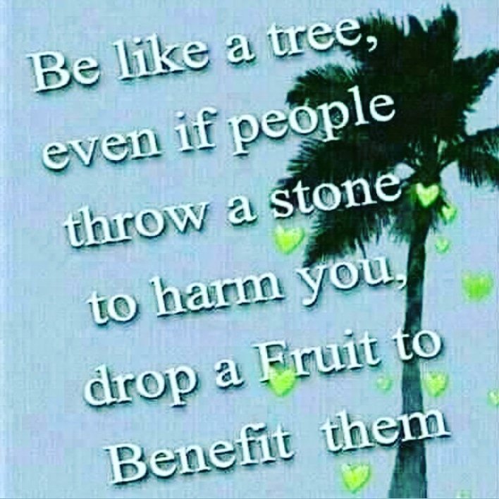 Mercy Wa Gikwa (@gikwa_wa) on Twitter photo 