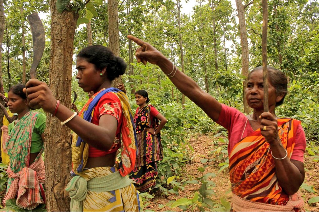AshishR29623913's tweet photo. #WorldEnvironmentDay2021 tribal peoples are real heros ho of our live .
I dedicate to thi tribal people.
#greeworld https://t.co/3LSP0QtXfG