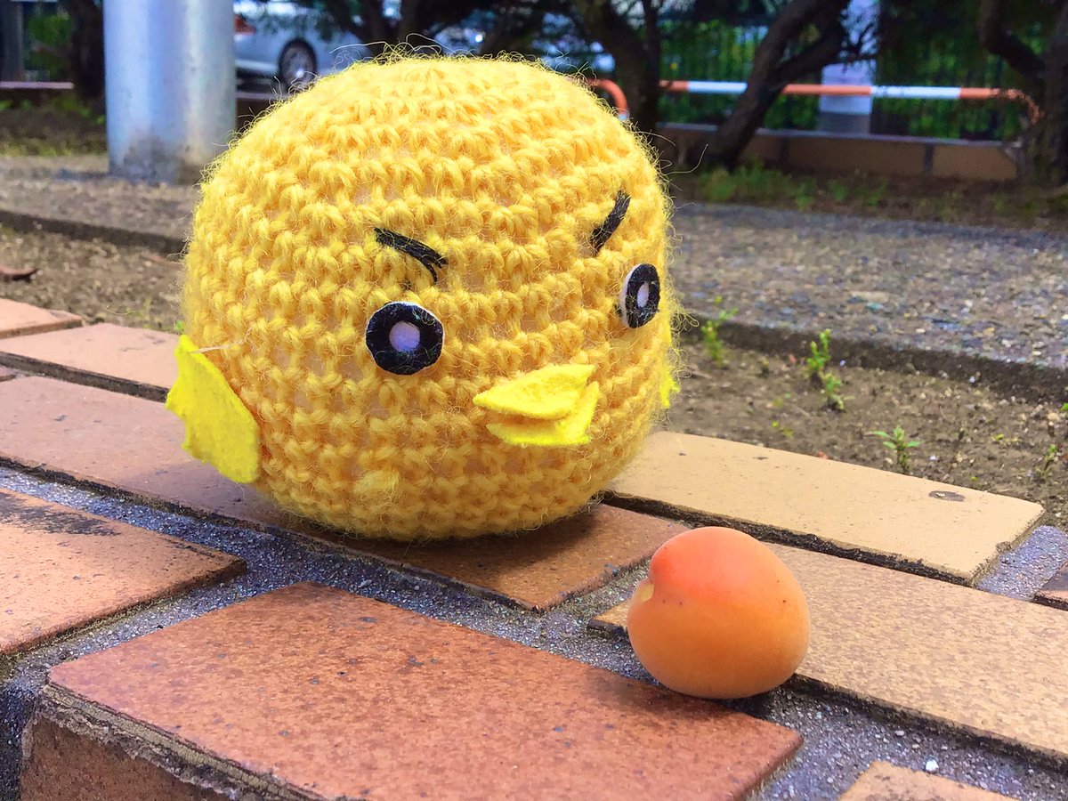 としょかん のtwitter検索結果 Yahoo リアルタイム検索 としょかん のtwitter検索結果 Yahoo リアルタイム検索