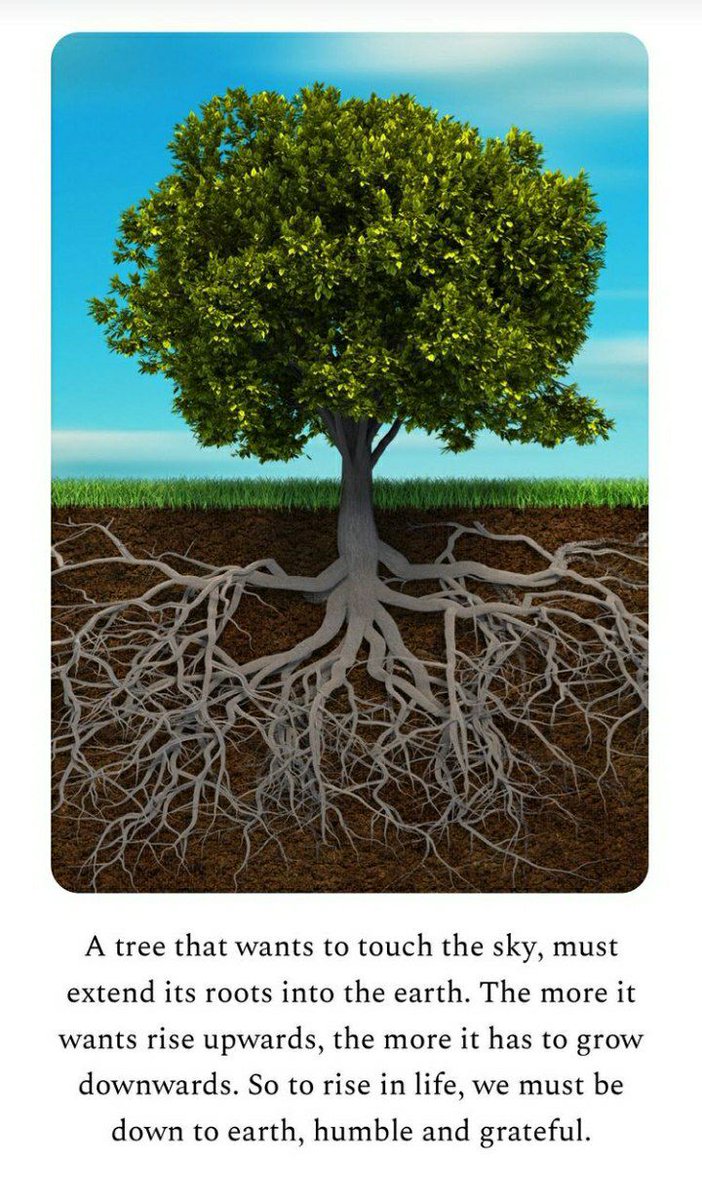 pksharma00007's tweet photo. #SaturdayThoughts #WorldEnvironmentDay 
Save tree 'Ecosystem Restoration' https://t.co/ccsO6M5kcF
