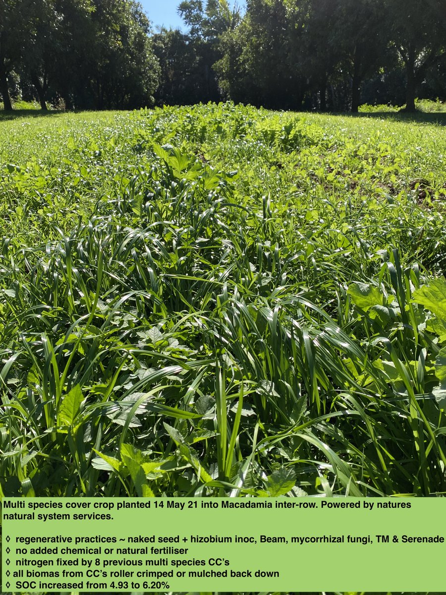 D Rex Harris tweet media